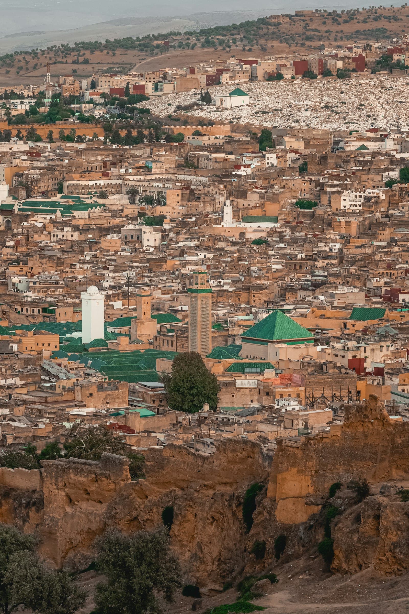 Vue sur la médina de Fès
