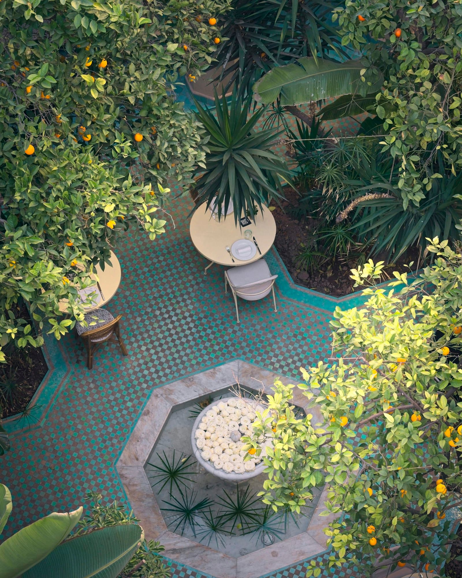 Patio planté vu d'en haut