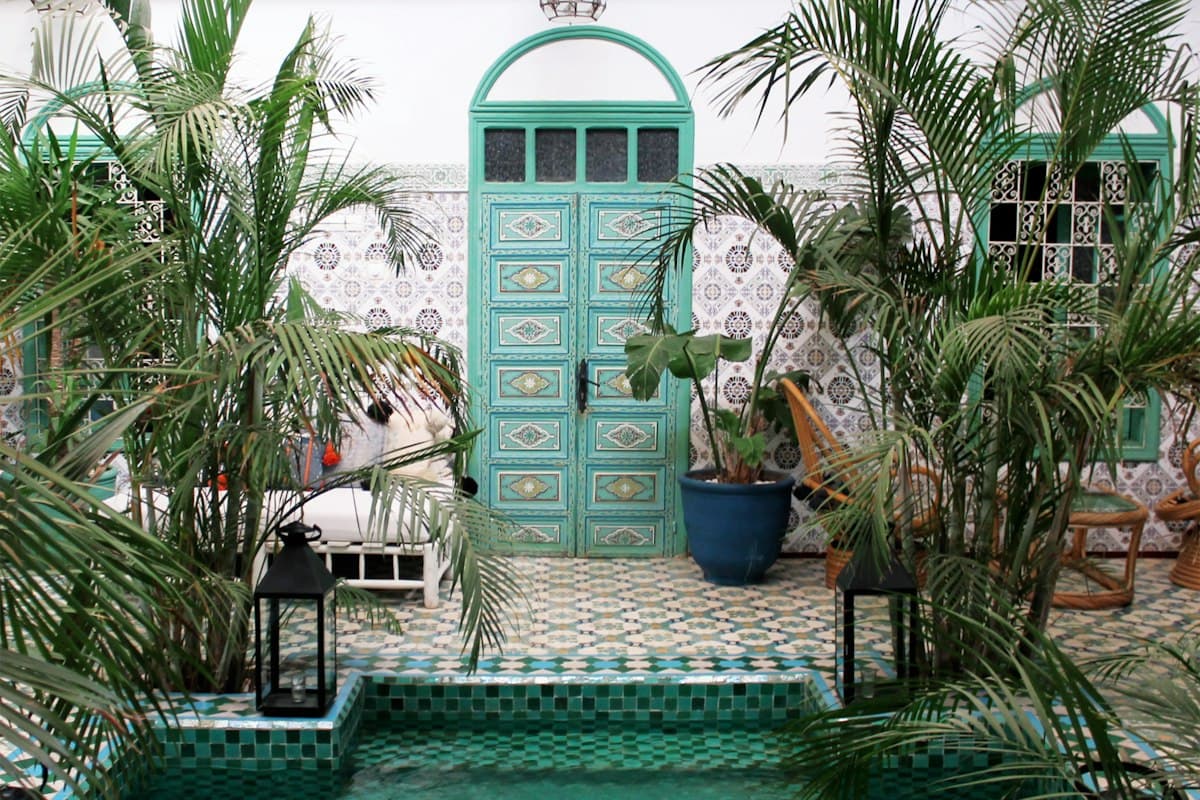 Porte bleu-vert et plantes